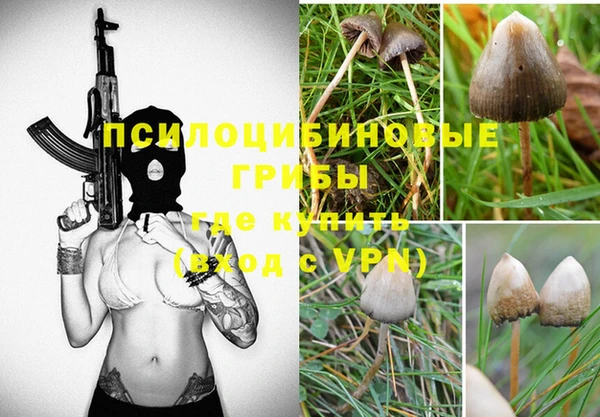 герыч Алексеевка