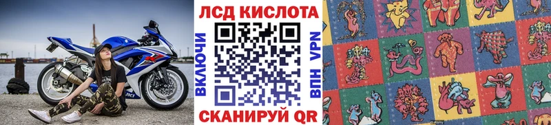 Марки NBOMe 1500мкг где купить наркоту нарко площадка состав Новороссийск