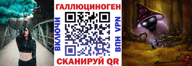 Псилоцибиновые грибы Psilocybe  Новороссийск 
